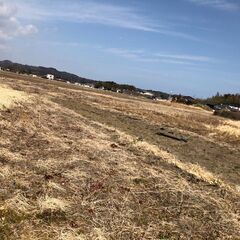 耕作放棄地から愛を叫ぼう！