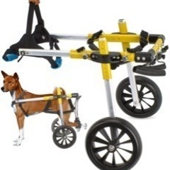 犬用車椅子３月２１日にAmazonより購入