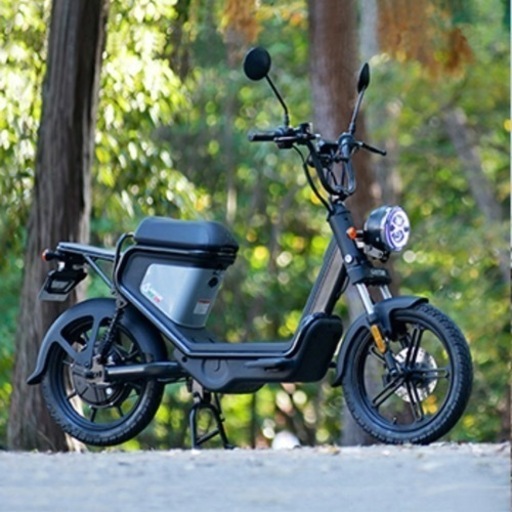 【取引終了】電動バイク ゴッチアGEV600