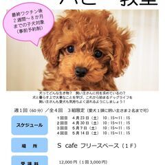 パピー教室開講！