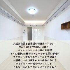 おしゃれな堀江で猫と暮らす(=^・^=)最新IOT機器付き？！ - 大阪市