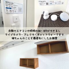 おしゃれな堀江で猫と暮らす(=^・^=)最新IOT機器付き？！ - 賃貸（マンション/一戸建て）