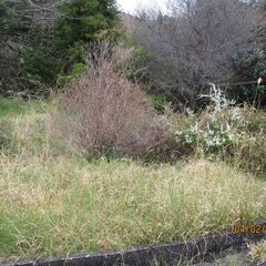 590志摩市阿児町鵜方51万円51坪（半分ぐらい法面と思います）NEW - 志摩市