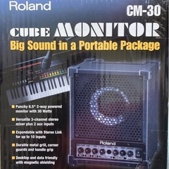 Roland　ローランドCM-30 CUBE MONITORキュ...