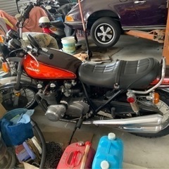 Z1極上