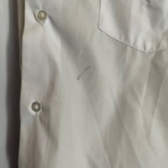 堀川中カッターシャツ　きまりました。の画像