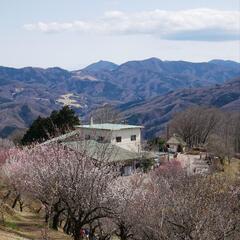 登山、サイクリング🚲や趣味友達 - 羽村市