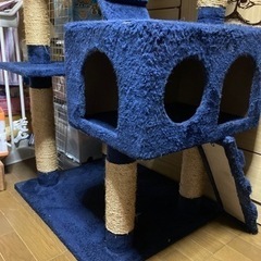 [4/21最終値下げ。処分直前] 猫　キャットタワー　中古の画像