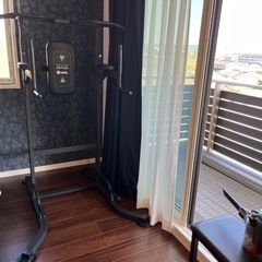 HAIGE マルチジム 自重トレーニング 懸垂マシン 懸垂マシーン