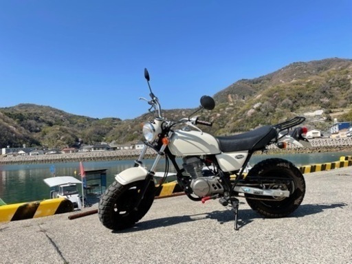 決定しました。ホンダ エイプ50 （値下げ交渉可能）