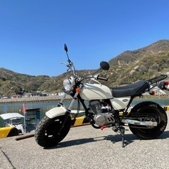 決定しました。ホンダ エイプ50 （値下げ交渉可能）