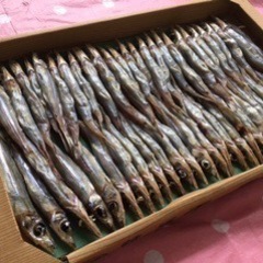 お待たせしました‼️キス丸干し　1箱 1kg 1400円✨…