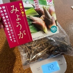 お取引中 ミョウガ