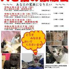 犬と猫の譲渡会　あなたの家族になりたい