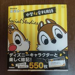 【未使用】③ディズニー 社会科用語暗記カード(高校入試対策)