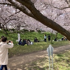 ピアノサークル・メンバー募集、古河 - メンバー募集