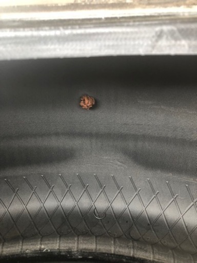 中古タイヤ　185/55R16 4本　引き取り可能な方のみ