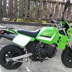 kawasaki KS2 バイクの画像