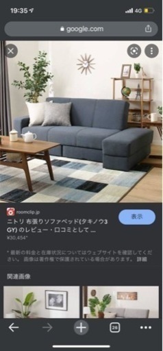 ニトリソファベッド タキノウ3、ラグ