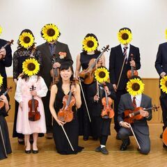 弦楽合奏「室内楽」「弦楽オーケストラ」作品の演奏者また学びたい方を募集の画像
