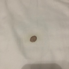 ニトリ　布団セットの画像