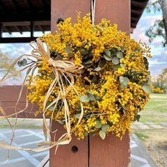 ミモザユーカリリースtjam