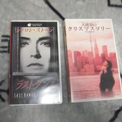 シャロン･スト－ン　ラストダンスＶＨＳ
