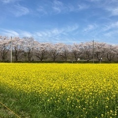お友達募集☆