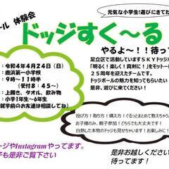 ドッジすくーる ４月24日(日) 足立区  体験❗️ 