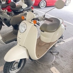 スクーピー50cc 原付