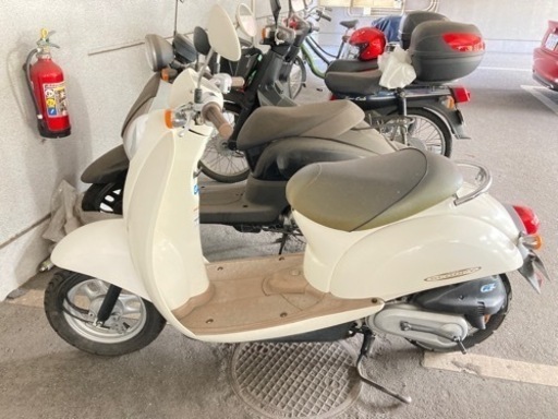 スクーピー50cc 原付
