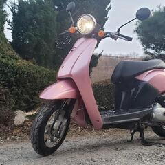原付🛵HONDAトゥディー‼️通勤通学配達‼️学生に大人気‼️低燃費‼️ﾊﾞｯﾃﾘｰ新品の画像
