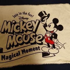ディズニーブランケット
