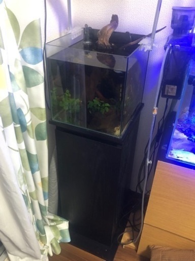 【引取限定】水槽セット