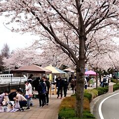 4月6日 めぐりあいマーケット(前橋朝日町)