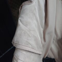 エアバギーココ ベージュ色 ブレーキタイプの画像