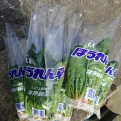 ほうれん草ほしい方
