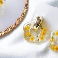 ミモザ花粒ptjagの画像