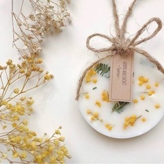 ミモザ花粒ptjagの画像