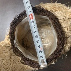 犬のプランター　小物入れの画像