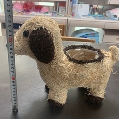 犬のプランター　小物入れの画像