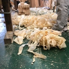 ヒノキ　スギ　オガクズ　カンナ屑の画像