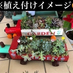 多肉植物等のプランター　木製手作りの画像