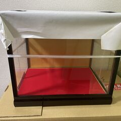 新品　ガラスケース
