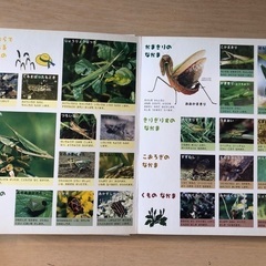 学研　虫図鑑