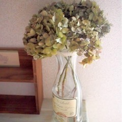 紫陽花ドライフラワーの画像