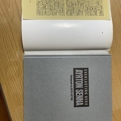 アイルトンセナの画像