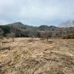 １０日　日曜日　草刈り・ピンクリボン作業ボランティア