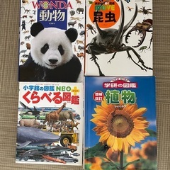【　🐼どうぶつ.植物.昆虫.くらべる図鑑📖　】　4冊セット　興味...