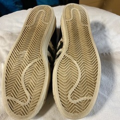 スーパースター
adidas！　注目！　値下げ！の画像